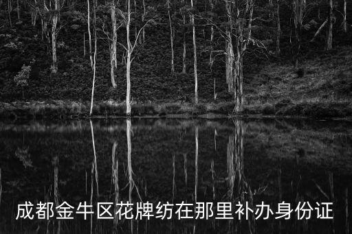 成都金牛區(qū)花牌紡在那里補(bǔ)辦身份證