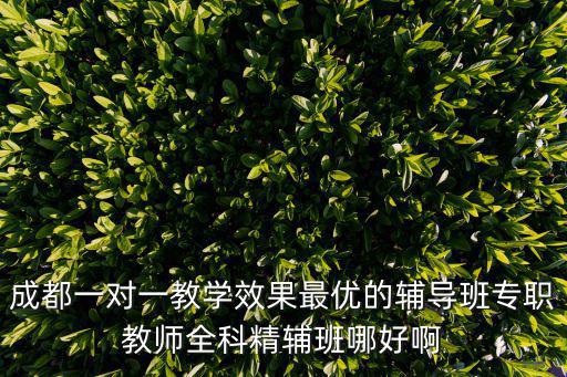 成都一對一教學效果最優的輔導班專職教師全科精輔班哪好啊
