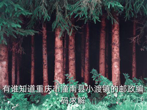 有誰知道重慶市潼南縣小渡鎮的郵政編碼求解