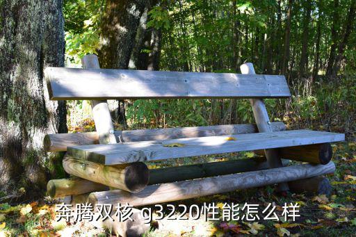 奔騰雙核 g3220性能怎么樣