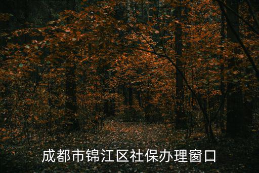 成都市錦江區(qū)社保辦理窗口