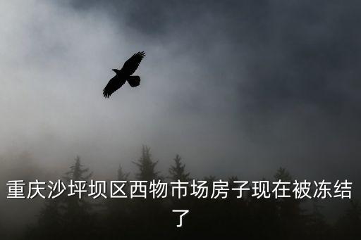 重慶沙坪壩區(qū)西物市場房子現(xiàn)在被凍結(jié)了