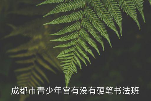 成都市青少年宮有沒有硬筆書法班