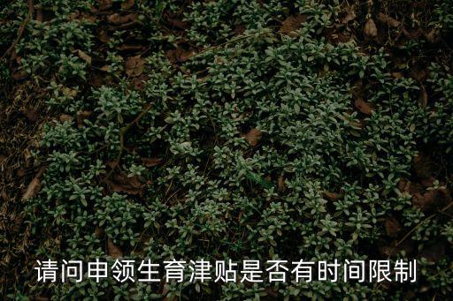 請問申領生育津貼是否有時間限制