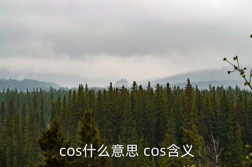  cos什么意思 cos含義