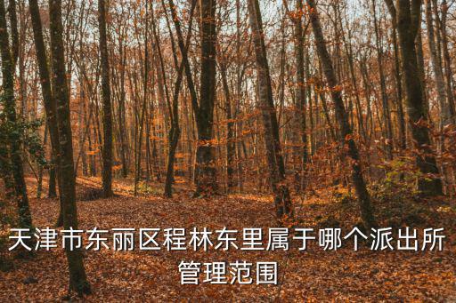 天津市東麗區文化局許瑾，天津市東麗區程林東里屬于哪個派出所管理范圍