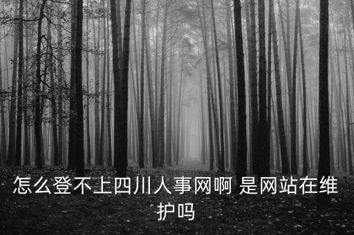 怎么登不上四川人事網啊 是網站在維護嗎