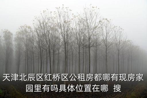 天津北辰區(qū)紅橋區(qū)公租房都哪有現(xiàn)房家園里有嗎具體位置在哪  搜
