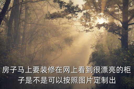 房子馬上要裝修在網上看到很漂亮的柜子是不是可以按照圖片定制出