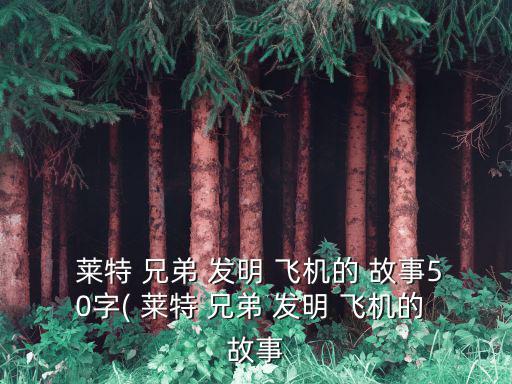  萊特 兄弟 發明 飛機的 故事50字( 萊特 兄弟 發明 飛機的 故事