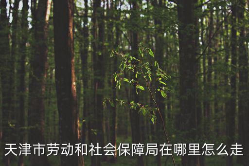 天津市人力中心受理窗口，天津市勞動和社會保障局在哪里怎么走