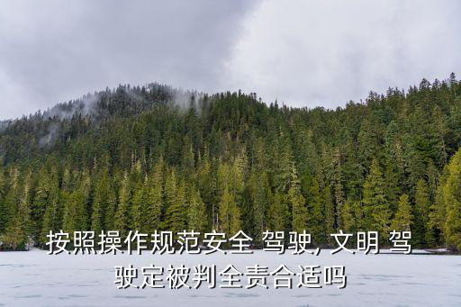 按照操作規范安全 駕駛, 文明 駕駛定被判全責合適嗎