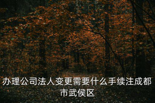 辦理公司法人變更需要什么手續(xù)注成都市武侯區(qū)