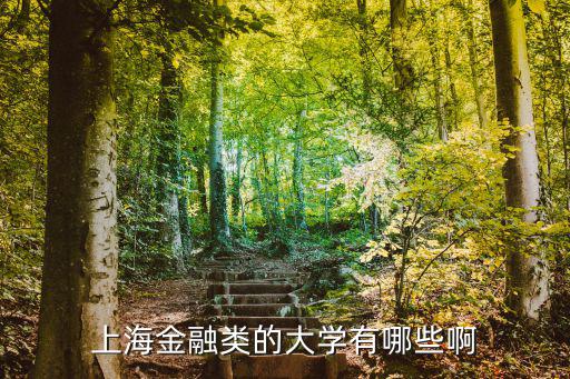 上海金融類的大學(xué)有哪些啊