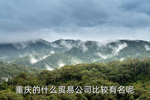 重慶的什么貿(mào)易公司比較有名呢
