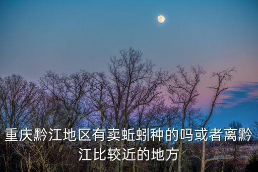 重慶黔江地區(qū)有賣蚯蚓種的嗎或者離黔江比較近的地方