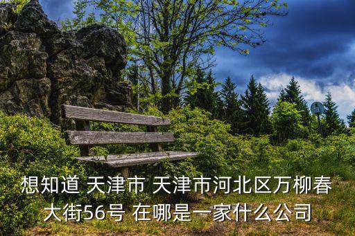 天津市卓之云，想知道 天津市 天津市河北區(qū)萬(wàn)柳春大街56號(hào) 在哪是一家什么公司