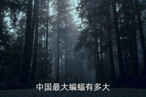中國最大蝙蝠有多大