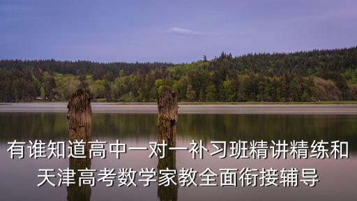 有誰知道高中一對一補習班精講精練和天津高考數學家教全面銜接輔導