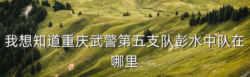 我想知道重慶武警第五支隊(duì)彭水中隊(duì)在哪里