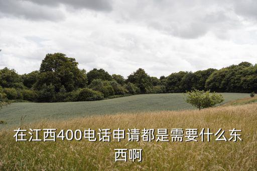 在江西400電話申請都是需要什么東西啊