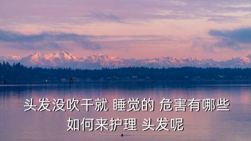  頭發沒吹干就 睡覺的 危害有哪些如何來護理 頭發呢