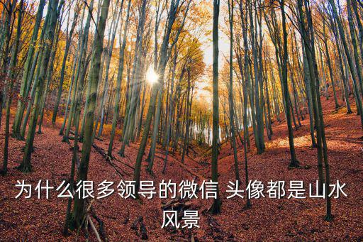 風景畫頭像,用瀑布山水畫為微信頭像表示用戶喜歡旅游景色
