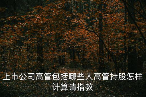 天津市2020年上市高管，上市公司高管包括哪些人高管持股怎樣計算請指教