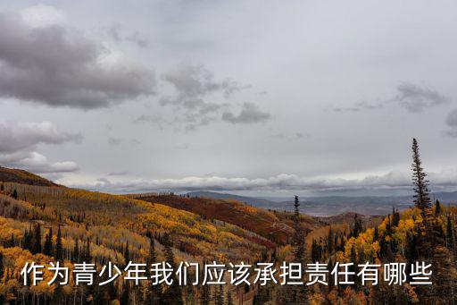 作為青少年我們應(yīng)該承擔(dān)責(zé)任有哪些