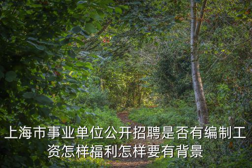 上海市事業(yè)單位公開招聘是否有編制工資怎樣福利怎樣要有背景