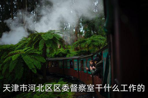 天津市河北區區委督察室干什么工作的