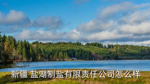  新疆 鹽湖制鹽有限責任公司怎么樣