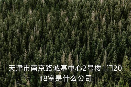 天津市南京路誠基中心2號樓1門2018室是什么公司