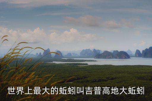 世界上最大的蚯蚓叫吉普高地大蚯蚓