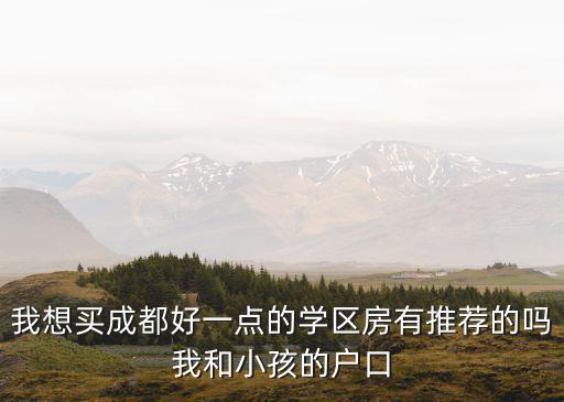 成都市龍王廟正街小學 學區房，成都錦江區有沒有比較優質的學區房
