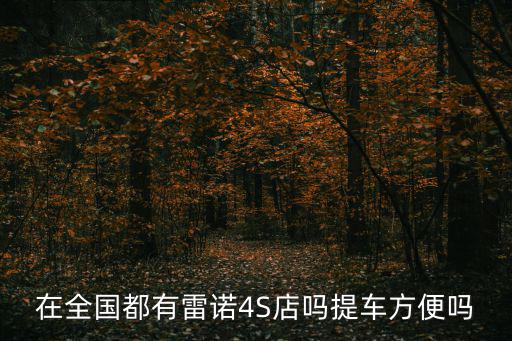 在全國都有雷諾4S店嗎提車方便嗎