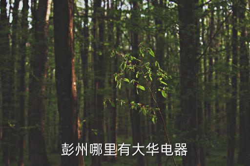 彭州哪里有大華電器