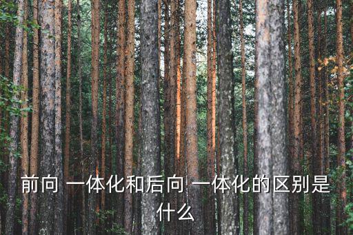 前向 一體化和后向 一體化的區別是什么