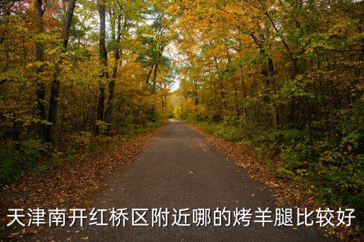 天津南開紅橋區附近哪的烤羊腿比較好