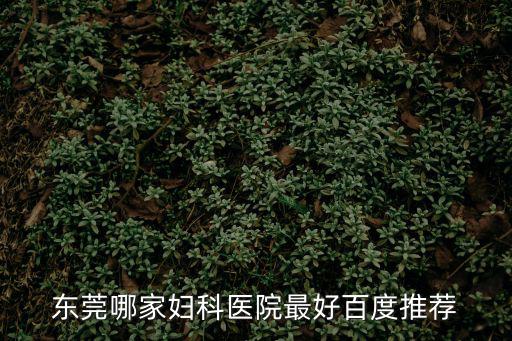 東莞哪里看婦科最好的醫院，東莞的婦科醫院哪家好