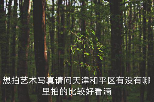 想拍藝術寫真請問天津和平區有沒有哪里拍的比較好看滴