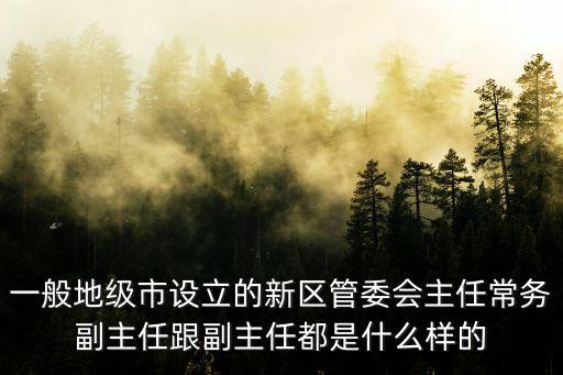 一般地級市設立的新區管委會主任常務副主任跟副主任都是什么樣的