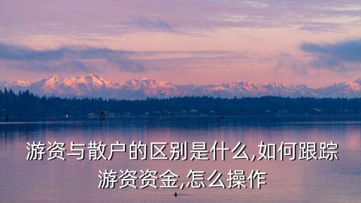 游資,機構投資者是指能從事證券投資活動的法人機構成員