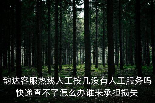 韻達客服熱線人工按幾沒有人工服務嗎快遞查不了怎么辦誰來承擔損失