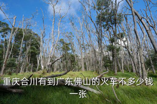 重慶合川有到廣東佛山的火車不多少錢一張