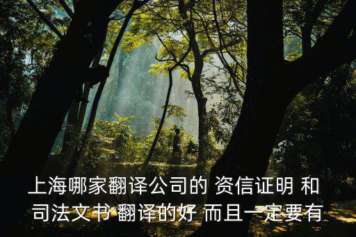上海哪家翻譯公司的 資信證明 和 司法文書 翻譯的好 而且一定要有