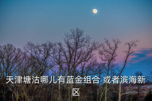 天津塘沽哪兒有藍金組合 或者濱海新區