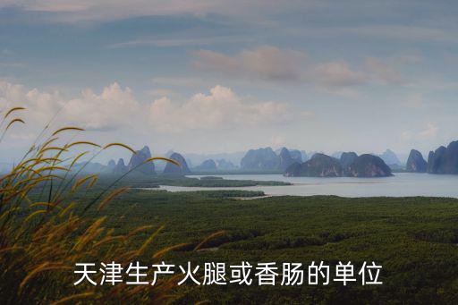 天津生產火腿或香腸的單位