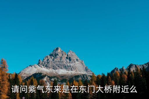 請問紫氣東來是在東門大橋附近么