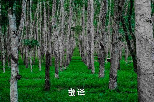 翻譯